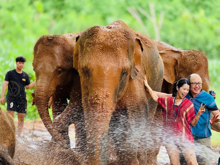 Chiang Mai : Temple , Nature and culture in one day. - Key things to know before you go