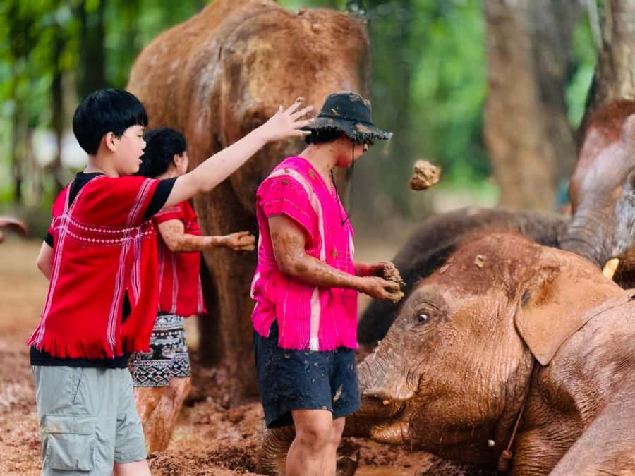 Chiang Mai : Temple , Nature and culture in one day. - Elephant time: herbal ball medicine, nature walking, and mud spa
