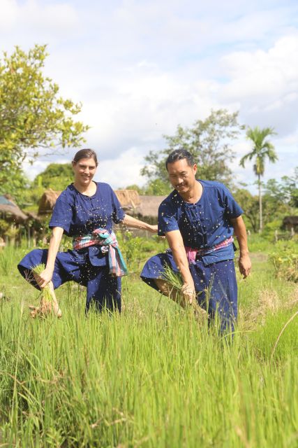Chiang Mai: Thai Buffalo and Rice Planting Experience - Why Hang Tueng’s farm day feels different from a city tour