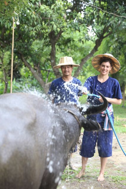 Chiang Mai: Thai Buffalo and Rice Planting Experience - Rice planting without the fake shortcuts
