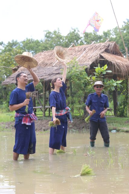 Chiang Mai: Thai Buffalo and Rice Planting Experience - Price and logistics: what $57 covers in practice