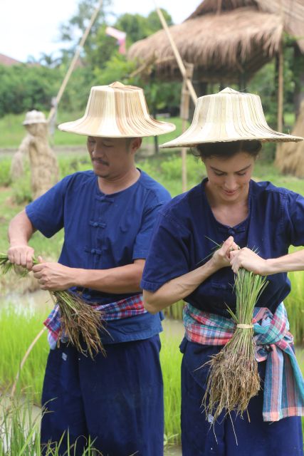 Chiang Mai: Thai Buffalo and Rice Planting Experience - What to wear so you stay comfortable and not miserable