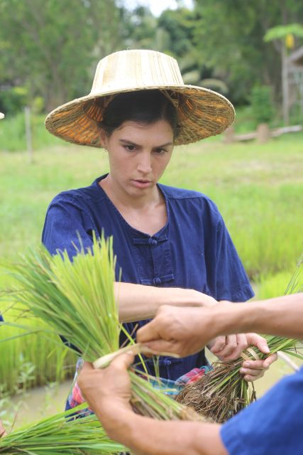 Chiang Mai: Thai Buffalo and Rice Planting Experience - Tips that help you learn more, not just participate