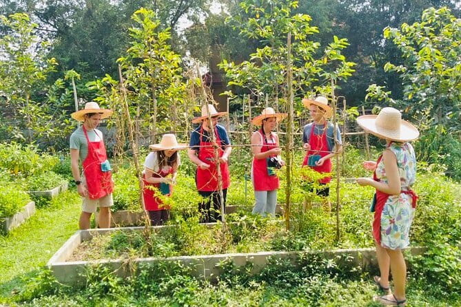 Chiang Mai Thai Cooking Organic Farm with Local Market Tour - Who should book this cooking day in Chiang Mai?