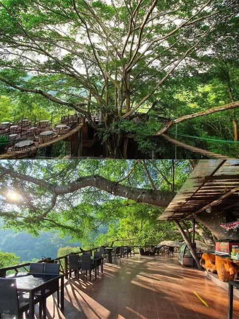 Chiang Mai: The Giant Café & Mae Kampong Village Day Trip - Mae Kampong Village: wooden houses, a temple stop, and real hill-country life