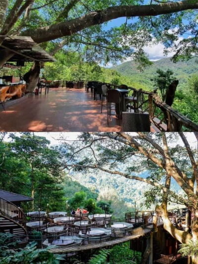 The Giant Café & Mae Kampong Village Day Trip