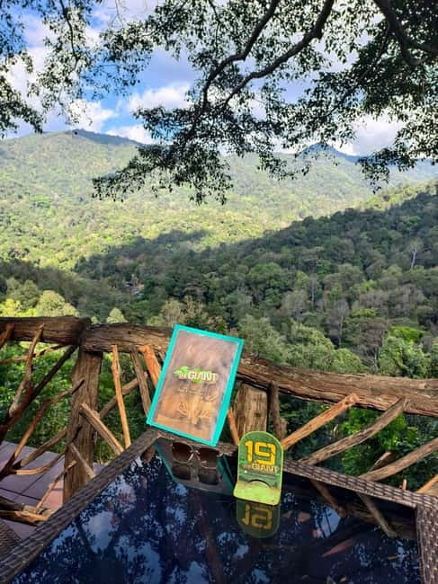 Chiang Mai: The Giant Café & Mae Kampong Village Day Trip - The Giant Chiangmai treetop café: coffee in the canopy