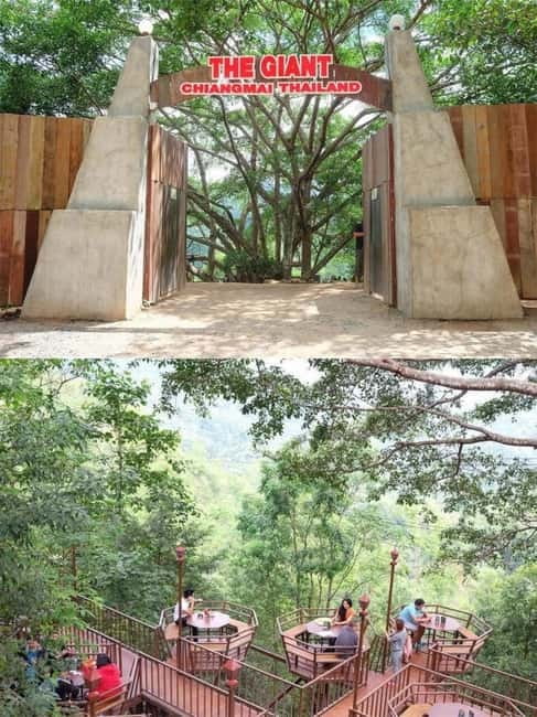 Chiang Mai: The Giant Café & Mae Kampong Village Day Trip - Food and drink: what is included, and what you will pay extra for