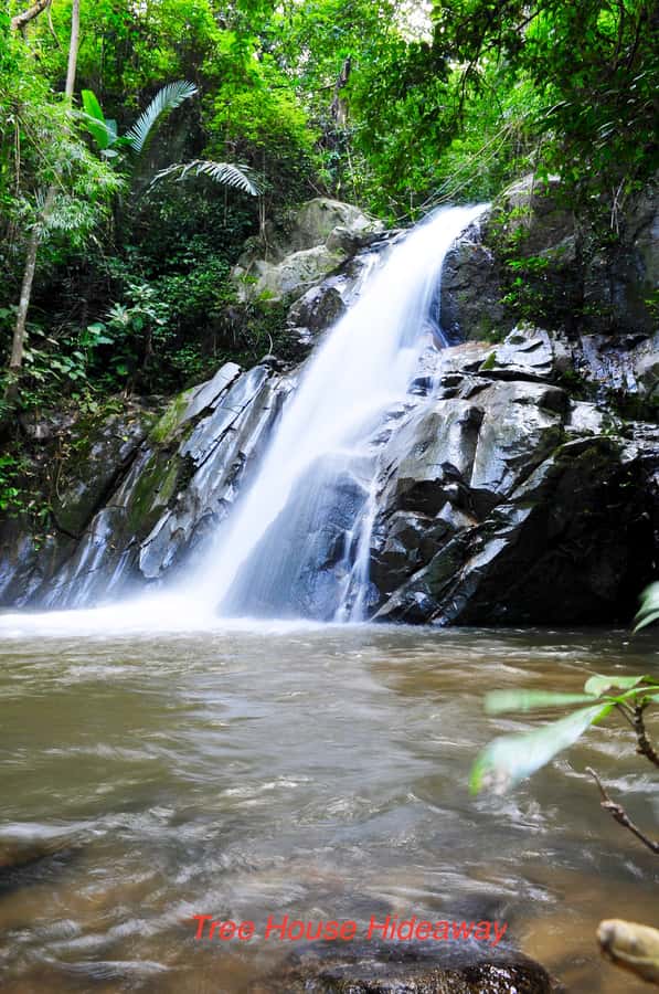 Chiang Mai: Tree House Stay & Jungle Zip-Lining - Key things I’d plan for