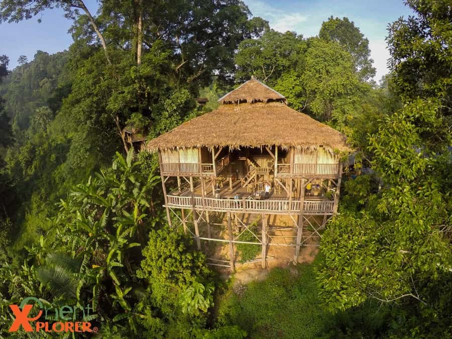 Chiang Mai: Tree House Stay & Jungle Zip-Lining - Chiang Mai, but make it jungle: tree house escape and a small-group rhythm