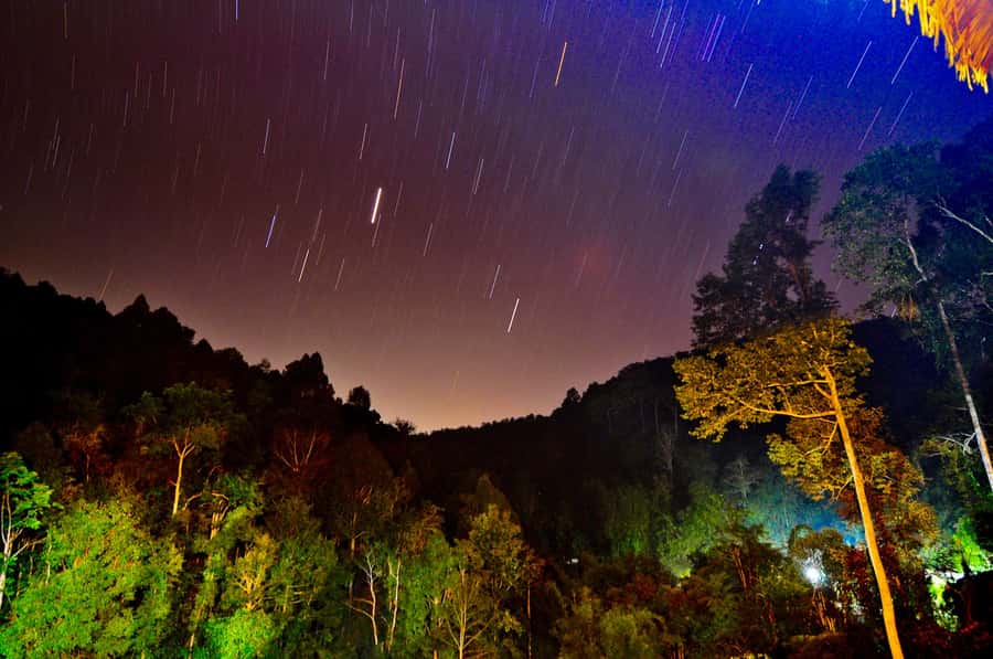 Chiang Mai: Tree House Stay & Jungle Zip-Lining - Food, massages, and the little moments that make it feel real