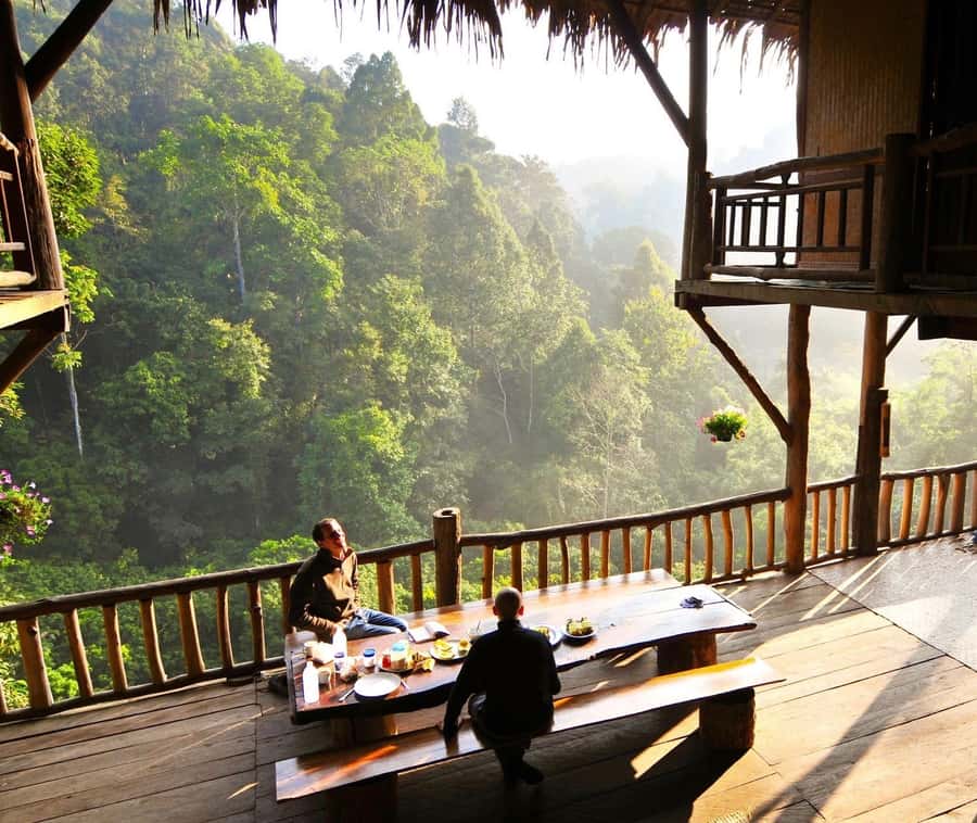 Chiang Mai: Tree House Stay & Jungle Zip-Lining - Phoenix Adventure Park ziplining: the fun part, plus how to make it smoother