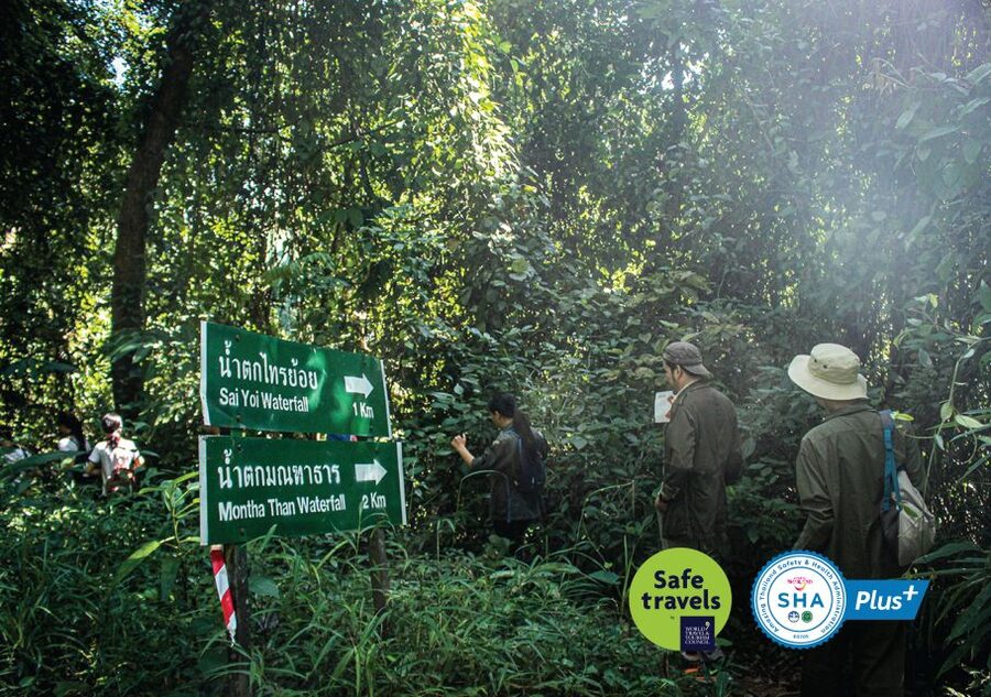 Chiang Mai Trek: Doi Suthep Area w/ Market and Temple Visit - Doi Suthep-Pui National Park: what you’re learning while you walk