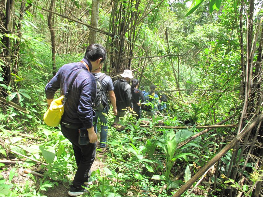 Chiang Mai Trek: Doi Suthep Area w/ Market and Temple Visit - Monthatarn Waterfall lunch: packed meal in the right setting