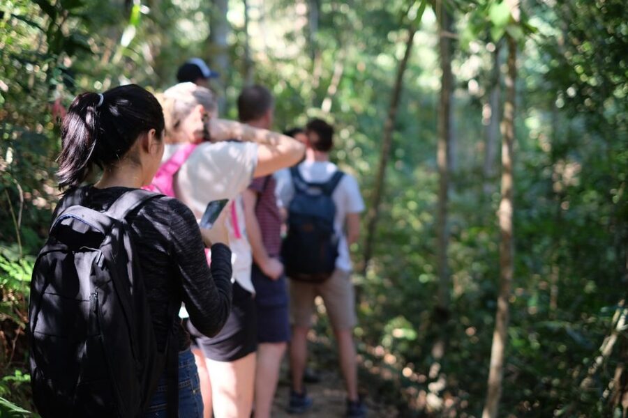 Chiang Mai Trek: Doi Suthep Area w/ Market and Temple Visit - Who should book this Doi Suthep trek (and who should reconsider)