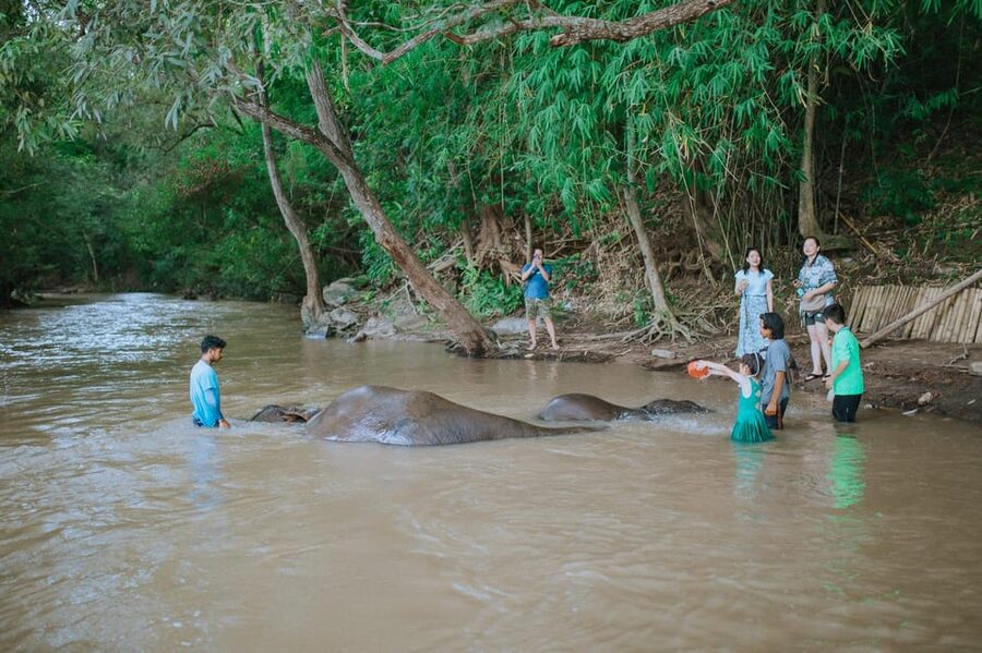 Chiang Mai: Two-day Temple of Elephants Sanctuary Tour - Price and Value at $118: What You Get, What You’re Paying For