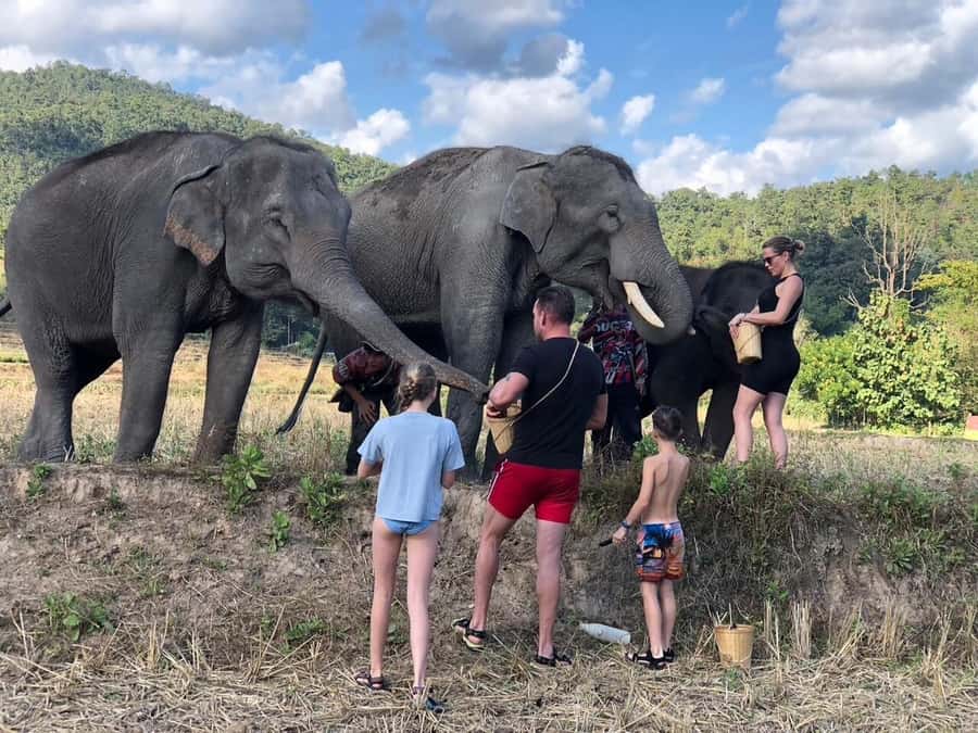 Chiang Mai: Two-day Temple of Elephants Sanctuary Tour - Day One Trekking to Waterfalls, Plus the Overnight by the Falls