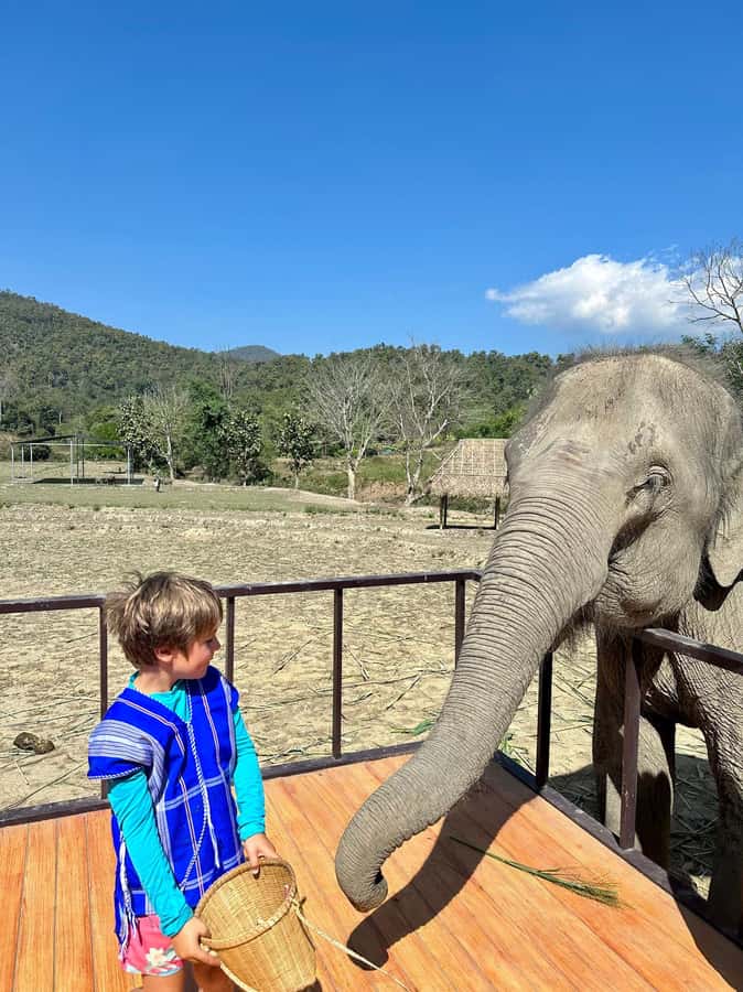 Chiang Mai: Two-day Temple of Elephants Sanctuary Tour - Elephant Bath Routine: Mud Spa, River Time, and Daily-Water Value