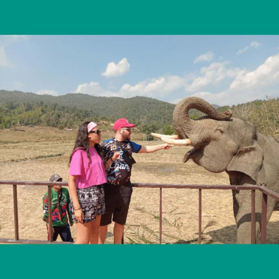 Chiang Mai: Two-day Temple of Elephants Sanctuary Tour - Trek Back to Chiang Mai: More Falls, Lunch Break, and That Photo-Heavy Finish