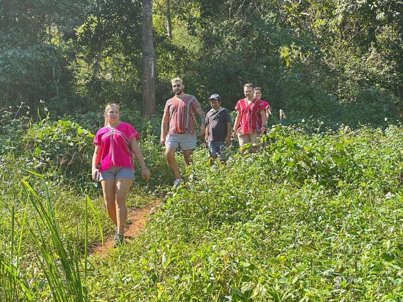 Chiang Mai Untouched Elephant: Nature Walk & Waterfall Trek - What to Pack: Sun, Bugs, and Wet-Weather Readiness