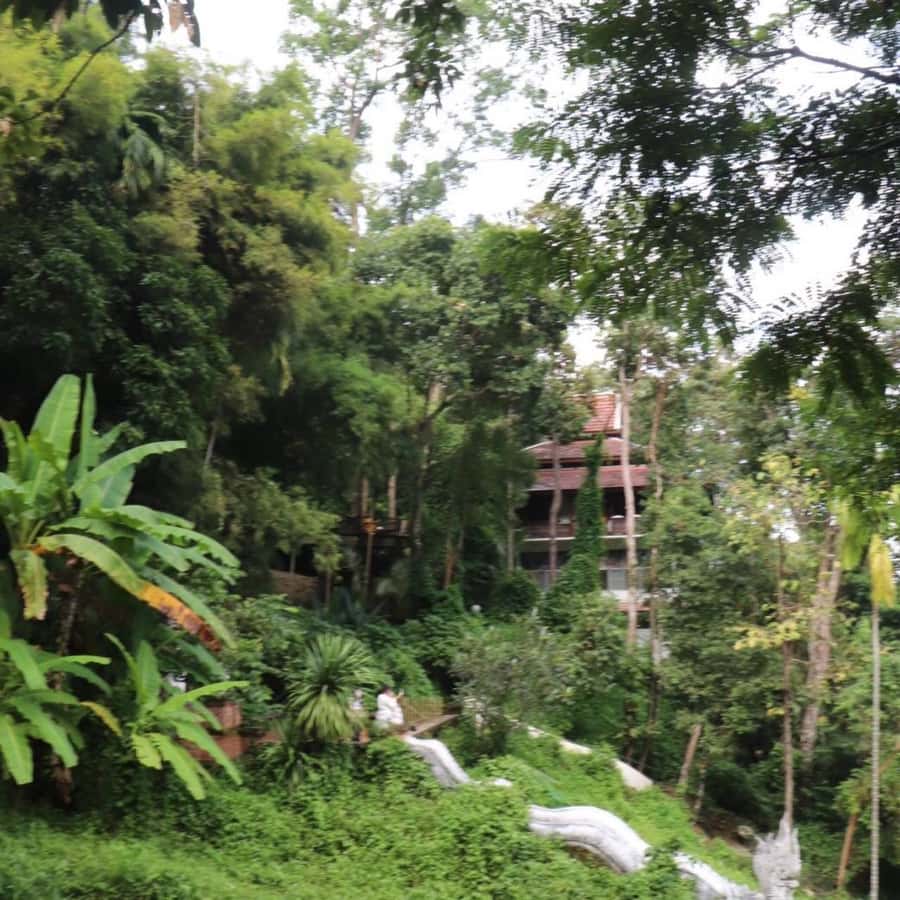 Chiang Mai: Wat Umong, Wat Pha Lat And Wat Doi Suthep Tour - How the Three Temples Fit Together in One 330-Minute Day