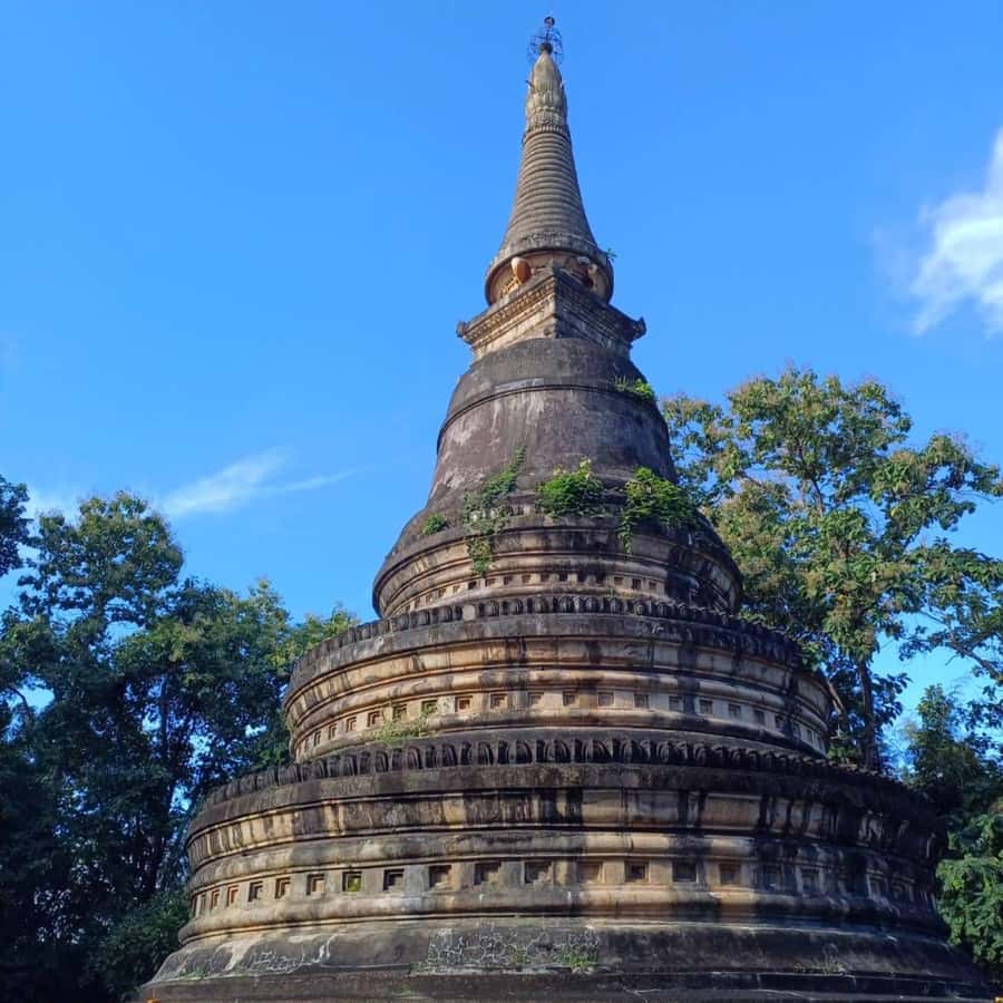 Chiang Mai: Wat Umong, Wat Pha Lat And Wat Doi Suthep Tour - What to Wear and Bring for Temple Visits