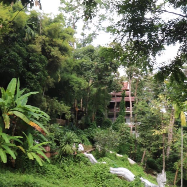 Chiang Mai: Wat Umong, Wat Pha Lat And Wat Doi Suthep Tour - Guides and the Quality of the Day
