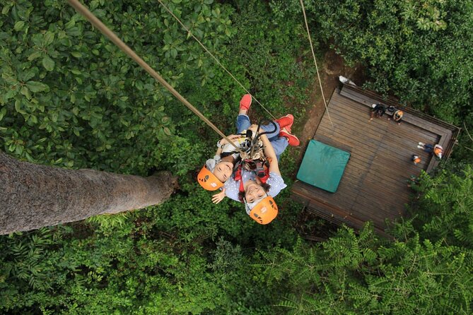 Chiang Mai Zip Line Experience - Why This Mae Rim Zip Line Feels Different Than a Basic Tour