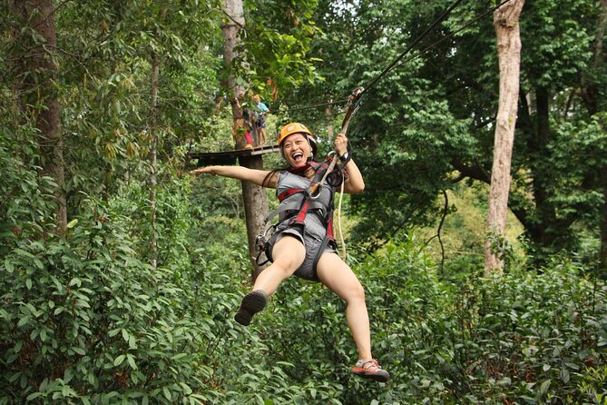 Chiang Mai Zip Line Experience - The Course in Detail: 31 Platforms, 14 Ziplines, 6 Staircases, 2 Abseils