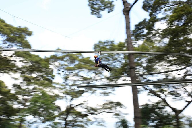 Chiang Mai Zip Line Experience - Morning vs Afternoon: Choosing the Right Slot for Chiang Mai