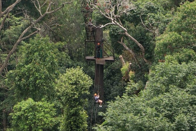Chiang Mai Zip Line Experience - Who This Zip Line Day Really Suits (Fitness, Age, Weight)