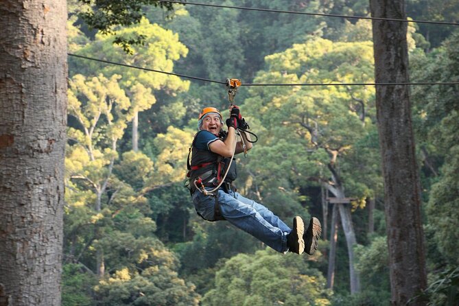 Chiang Mai Zip Line Experience - Price and Value: What $59.90 Includes and Why It Works