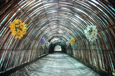 Zipline Adventure at Skyline Jungle Luge