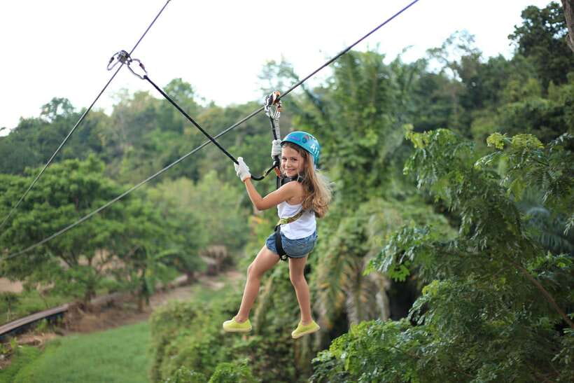 Chiang Mai: Zipline & High Rope Park with Lunch & Transfer - Phoenix Adventure Park in Mae Rim: the kind of day Chiang Mai does well