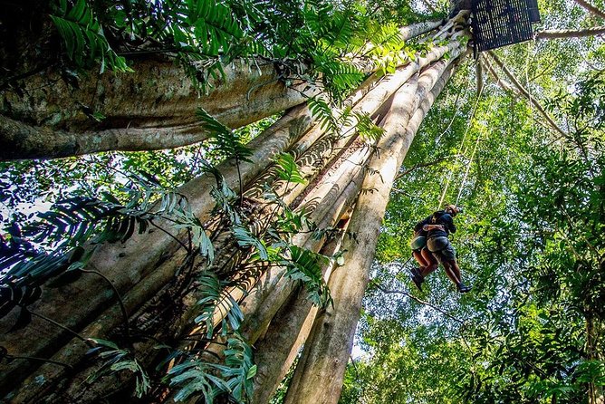 Chiang Mai Zipline White Water Rafting and Elephant Sanctuary - Whitewater Rafting After the Sanctuary: Plan for a Wet Finale