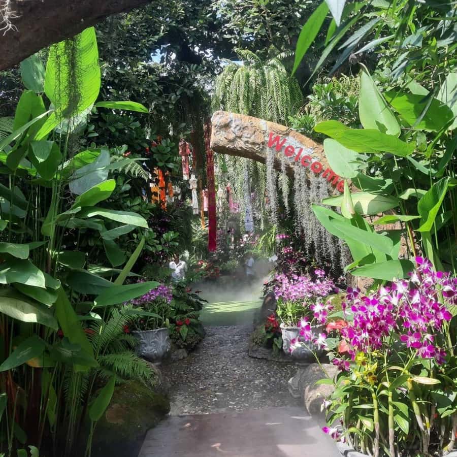 Chiang Rai: Temples Trip with Sang Kaew and Lalitta Cafe - Key things I’d circle before you go
