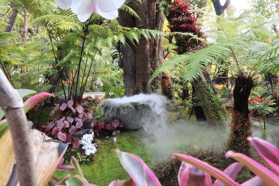 Chiang Rai: Temples Trip with Sang Kaew and Lalitta Cafe - Private group value, timing, and who this trip suits best