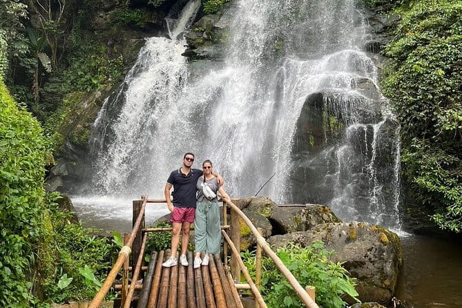ChiangMai 1DayTour:Elephant Sanctuary,king&queen pagoda,waterfall - Key things that make this tour worth your time