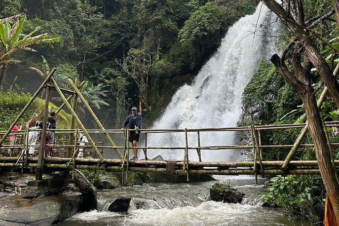 ChiangMai 1DayTour:Elephant Sanctuary,king&queen pagoda,waterfall - Should you book it? Who it suits best