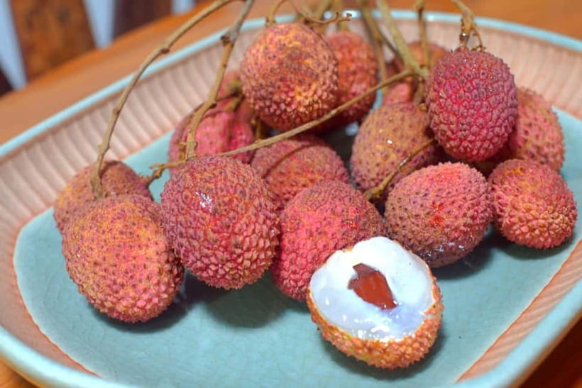 Chiangmai: Cooking Class by Chef only 4 people Market visit - The menu: what you will actually cook and eat
