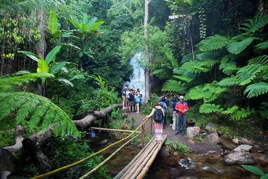ChiangMai: Doi Inthanon National Park&mini-trek to Waterfall - 8:00 AM Pickup and the Road Up to Thailand’s Highest Peak