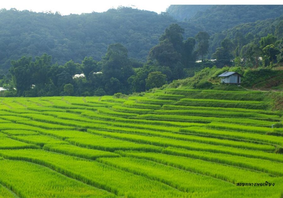 ChiangMai: Doi Inthanon National Park&mini-trek to Waterfall - Lunch and the Shift to Hilltribe Life at Baan Mae Klang Luang