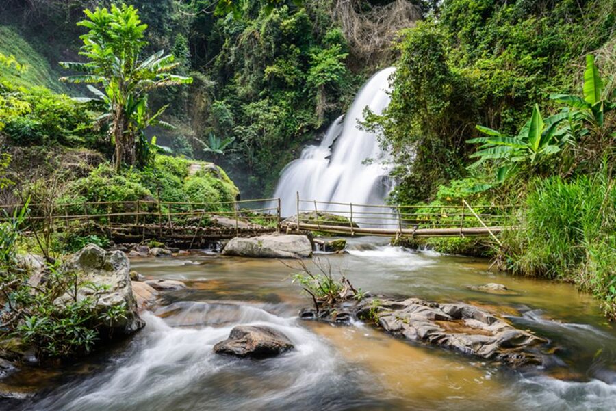 ChiangMai: Doi Inthanon National Park&mini-trek to Waterfall - On Top of Doi Inthanon: Summit Stupa and the Ang-Kha Nature Trail