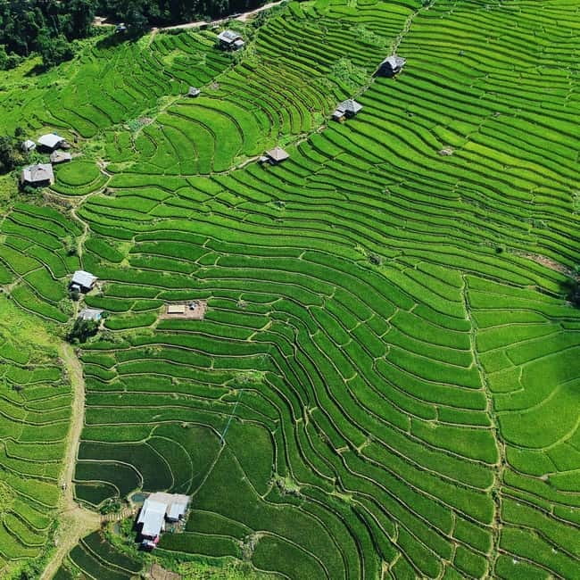 Chiangmai : Doi Inthanon unseen spot , Rice terrace & temple - Wat Pgageyo Ram: A Quiet Temple Moment in the Mountains