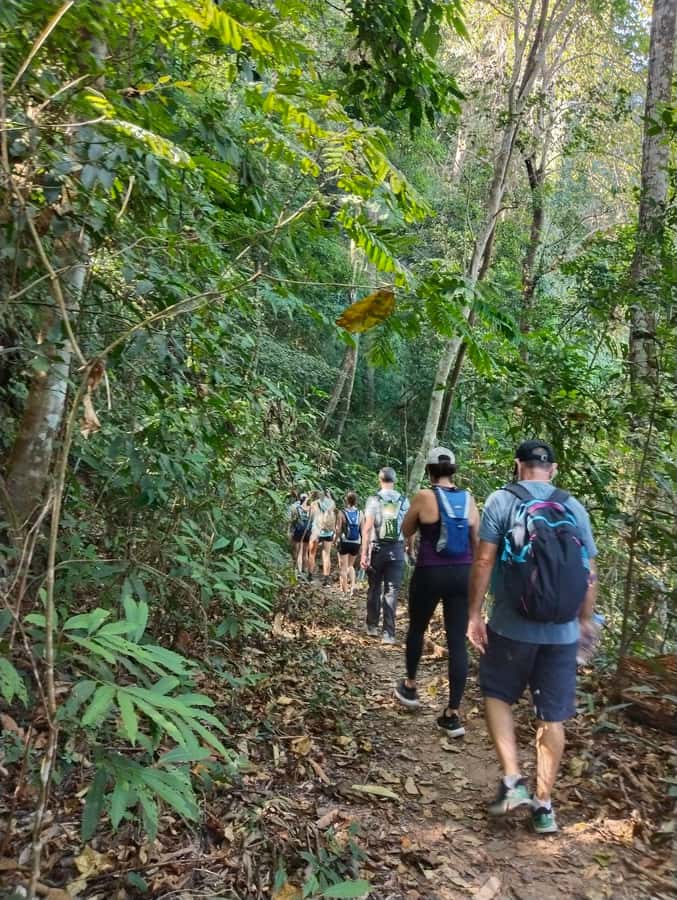 Chiangmai : Doi Pui Summit Hiking Experience - Key Highlights You Will Feel in This Hike