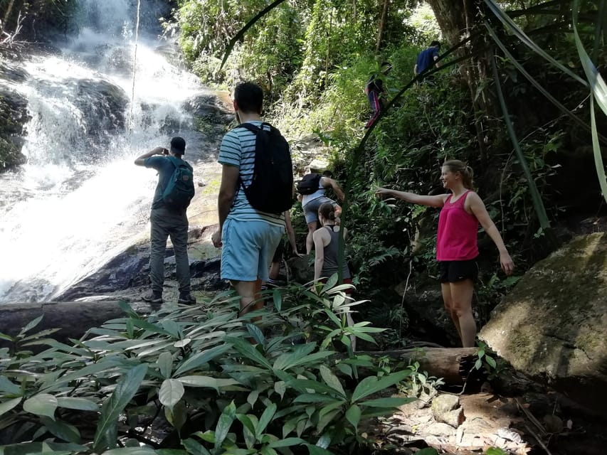 Chiangmai : Doi Pui Summit Hiking Experience - Price and Value: Why $70 Can Make Sense Here