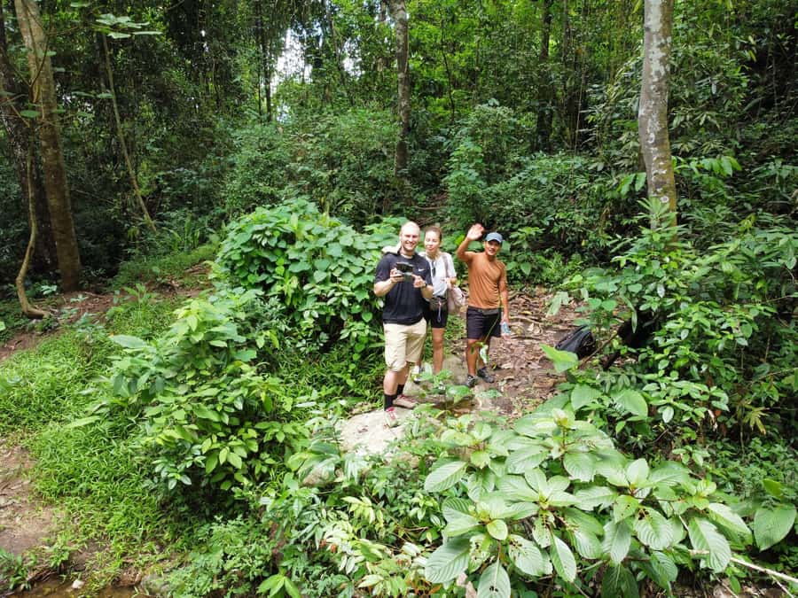 Chiangmai : Doi Pui Summit Hiking Experience - Who This Tour Suits Best (And Who Should Skip It)