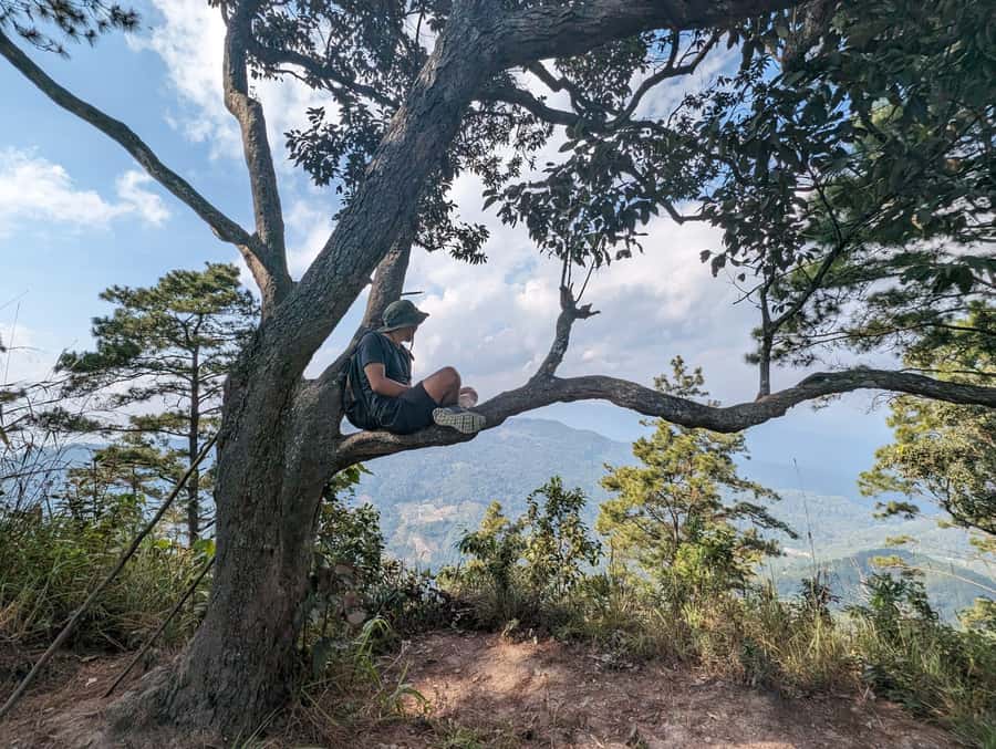 Chiangmai : Doi Pui Summit Hiking Experience - Wat Phra That Doi Suthep Views: Sacred Steps and City Overlook