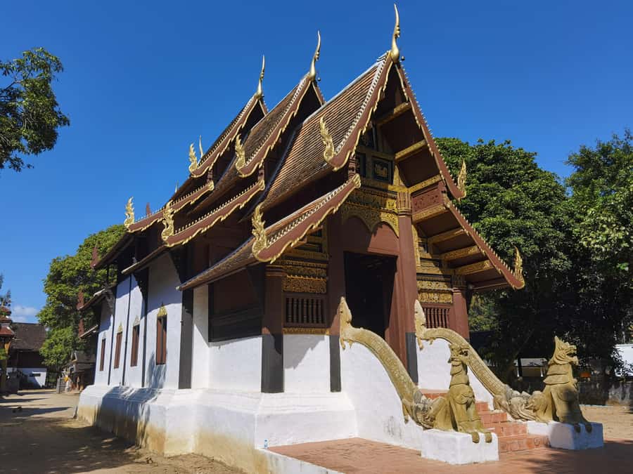 Chiangmai : Experience the magic of Mexican Sunflower field - Who this tour suits best