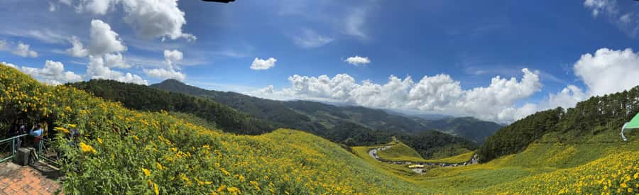 Chiangmai : Experience the magic of Mexican Sunflower field - Why this Chiang Mai day trip starts before the sun
